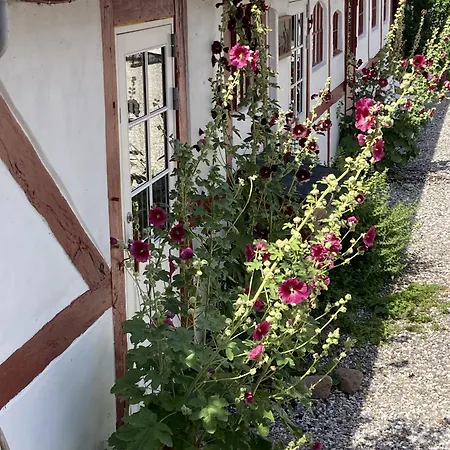 Jungshoved Praestegard 3* Præstø