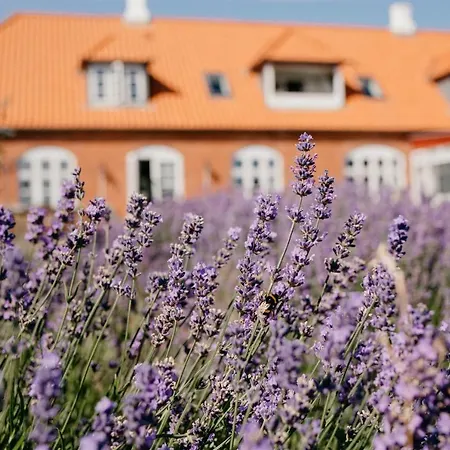 Bed & Breakfast Jungshoved Præstegård