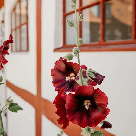 Jungshoved Præstegård Bed & Breakfast Præstø